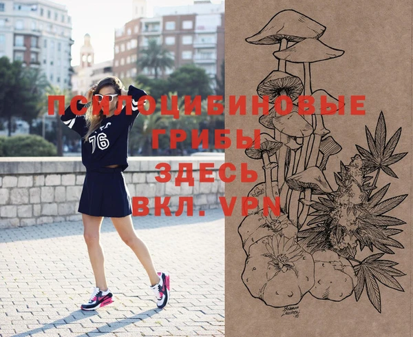 spice Осташков