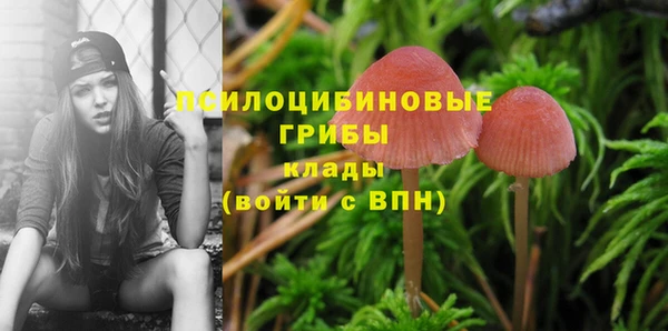 spice Осташков