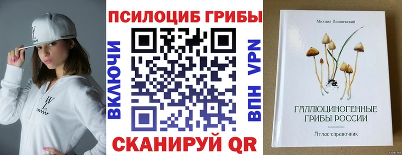 блэк спрут ТОР  Свирск  Псилоцибиновые грибы мухоморы 